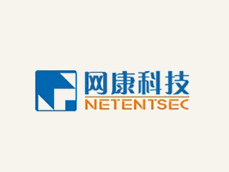 NetentSec