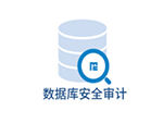 Database Audit SystemDAS